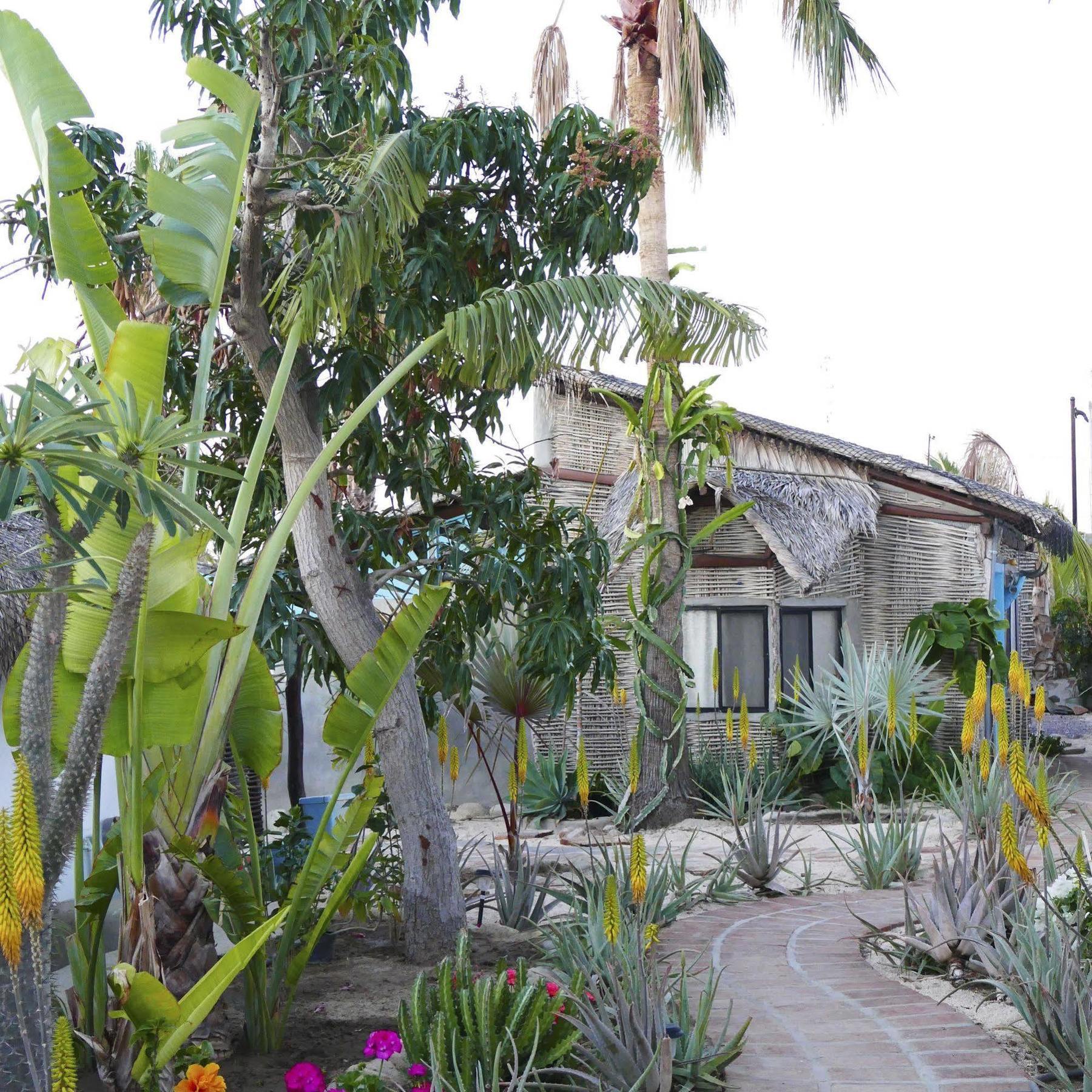 Hotel La Bohemia Todos Santos Exterior foto