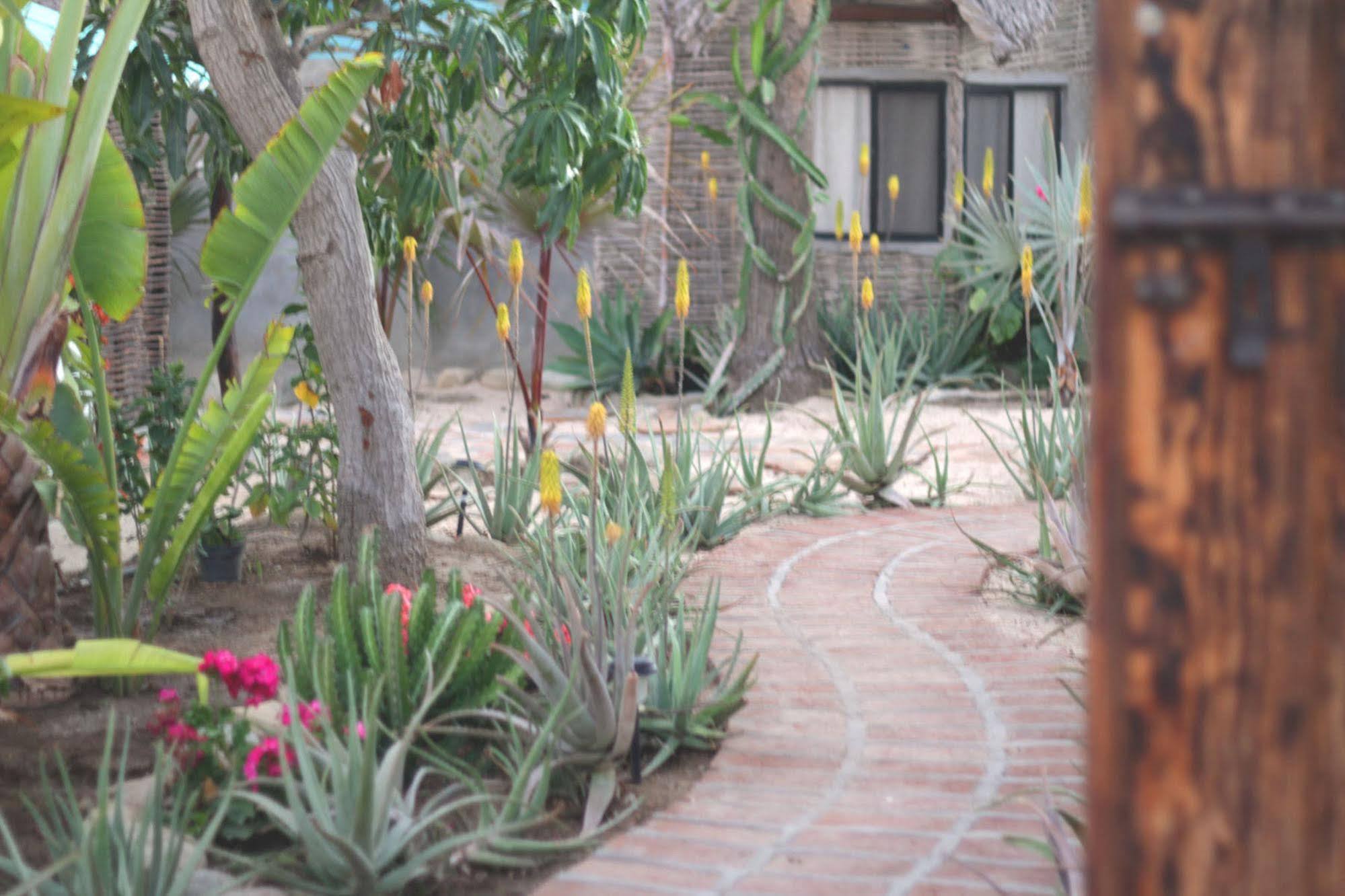 Hotel La Bohemia Todos Santos Exterior foto